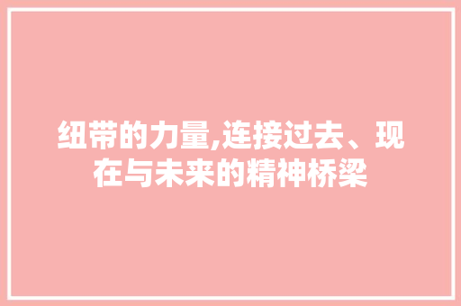 纽带的力量,连接过去、现在与未来的精神桥梁