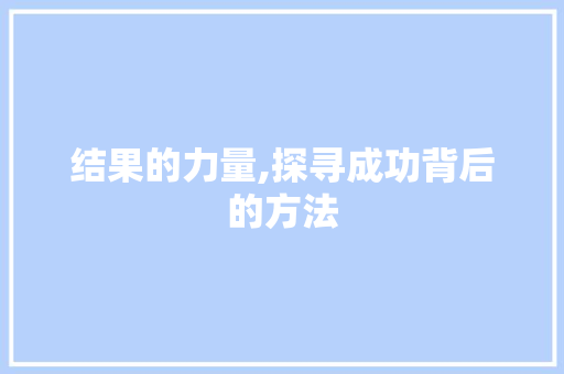 结果的力量,探寻成功背后的方法