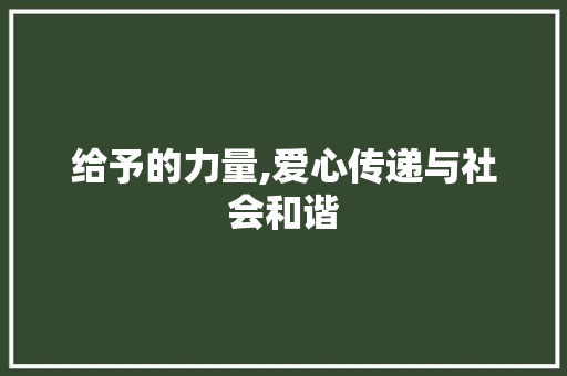 给予的力量,爱心传递与社会和谐