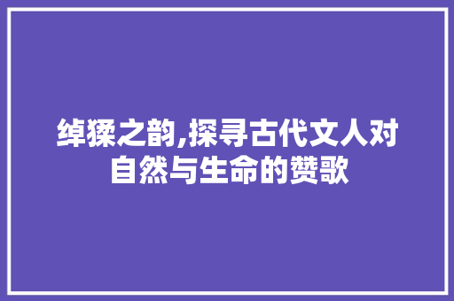绰猱之韵,探寻古代文人对自然与生命的赞歌