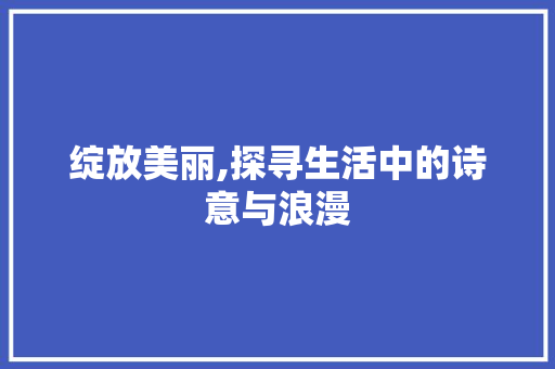 绽放美丽,探寻生活中的诗意与浪漫 报告写作