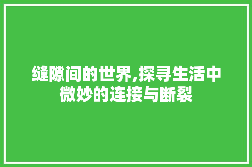 缝隙间的世界,探寻生活中微妙的连接与断裂