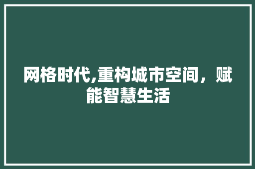 网格时代,重构城市空间，赋能智慧生活 简历模板