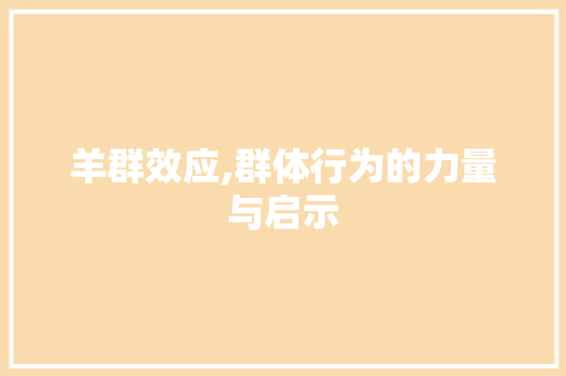 羊群效应,群体行为的力量与启示