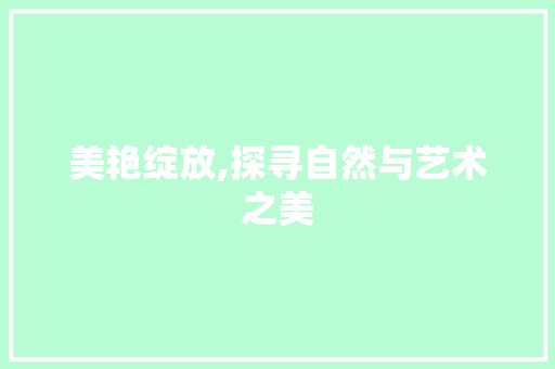 美艳绽放,探寻自然与艺术之美