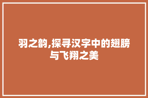 羽之韵,探寻汉字中的翅膀与飞翔之美 写作技巧