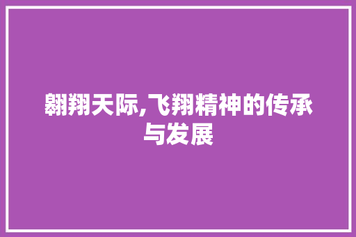 翱翔天际,飞翔精神的传承与发展