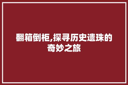 翻箱倒柜,探寻历史遗珠的奇妙之旅