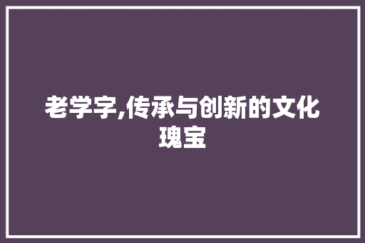 老学字,传承与创新的文化瑰宝