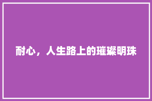 耐心，人生路上的璀璨明珠