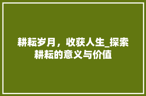 耕耘岁月，收获人生_探索耕耘的意义与价值 写作素材