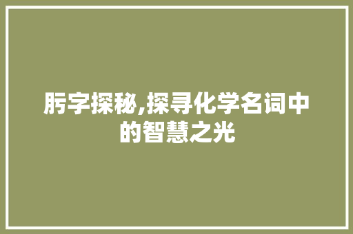肟字探秘,探寻化学名词中的智慧之光
