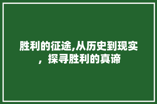 胜利的征途,从历史到现实，探寻胜利的真谛