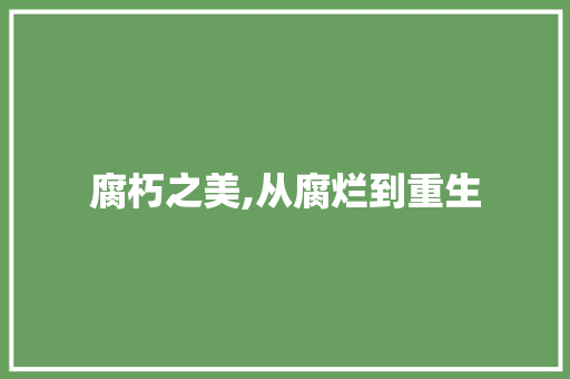 腐朽之美,从腐烂到重生 简历模板