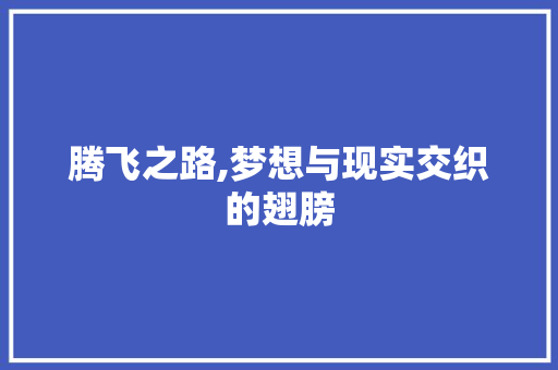腾飞之路,梦想与现实交织的翅膀