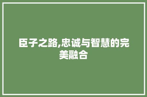 臣子之路,忠诚与智慧的完美融合
