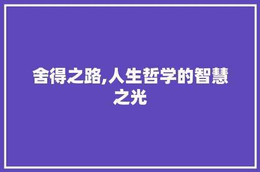 舍得之路,人生哲学的智慧之光