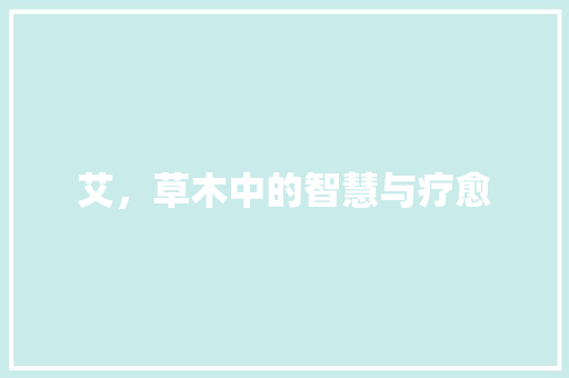 艾，草木中的智慧与疗愈 写作技巧