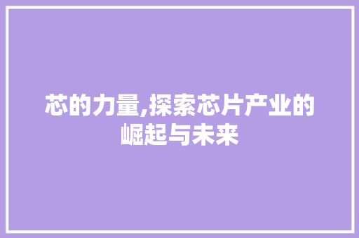 芯的力量,探索芯片产业的崛起与未来