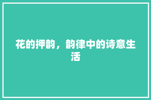 花的押韵，韵律中的诗意生活