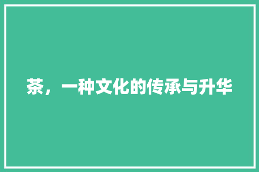 茶，一种文化的传承与升华 范文赏析