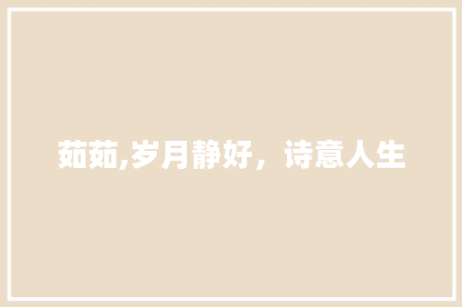 茹茹,岁月静好，诗意人生 报告写作