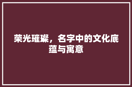荣光璀璨，名字中的文化底蕴与寓意 词汇积累