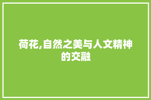 荷花,自然之美与人文精神的交融 简历模板