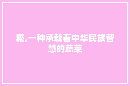 菘,一种承载着中华民族智慧的蔬菜