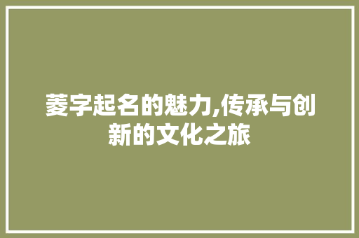 菱字起名的魅力,传承与创新的文化之旅