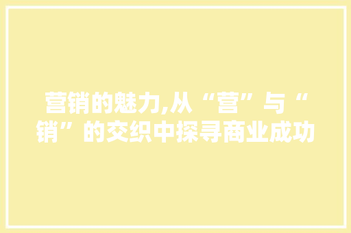 营销的魅力,从“营”与“销”的交织中探寻商业成功之路