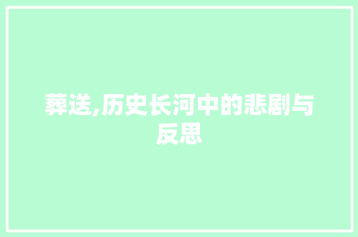 葬送,历史长河中的悲剧与反思