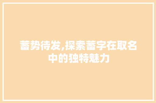 蓄势待发,探索蓄字在取名中的独特魅力