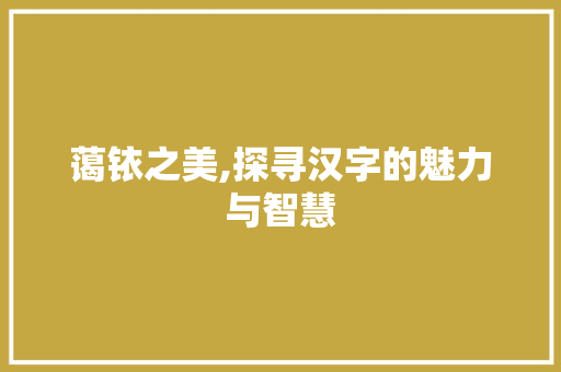 蔼铱之美,探寻汉字的魅力与智慧 写作社区