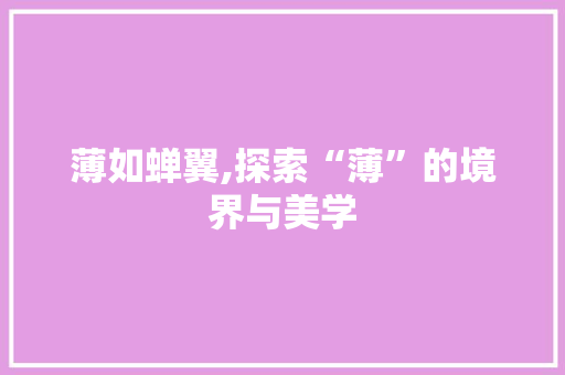 薄如蝉翼,探索“薄”的境界与美学 词汇积累