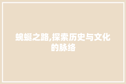 蜿蜒之路,探索历史与文化的脉络