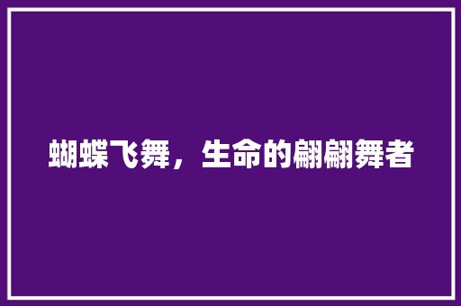 蝴蝶飞舞，生命的翩翩舞者