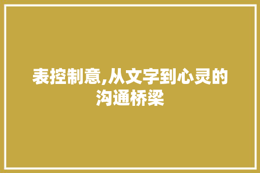 表控制意,从文字到心灵的沟通桥梁