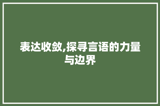 表达收敛,探寻言语的力量与边界