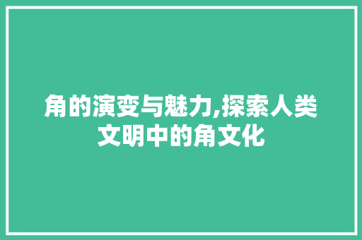 角的演变与魅力,探索人类文明中的角文化