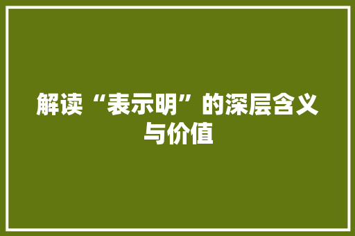 解读“表示明”的深层含义与价值