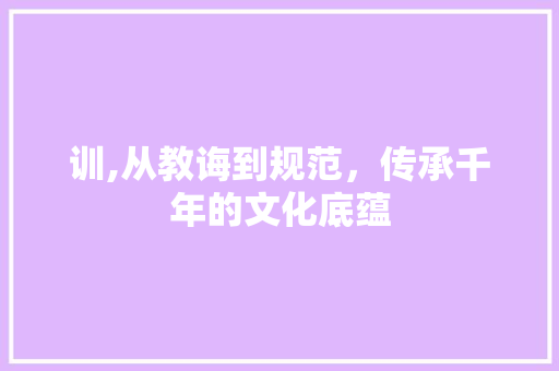 训,从教诲到规范，传承千年的文化底蕴 报告写作