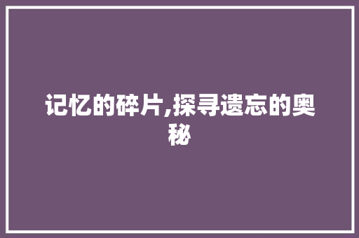 记忆的碎片,探寻遗忘的奥秘