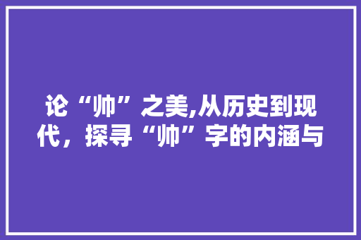 论“帅”之美,从历史到现代，探寻“帅”字的内涵与魅力