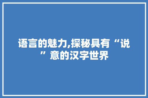 语言的魅力,探秘具有“说”意的汉字世界 写作技巧