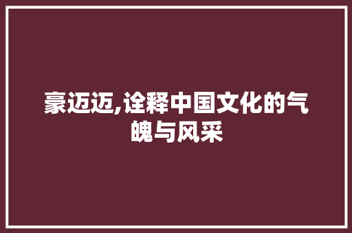 豪迈迈,诠释中国文化的气魄与风采