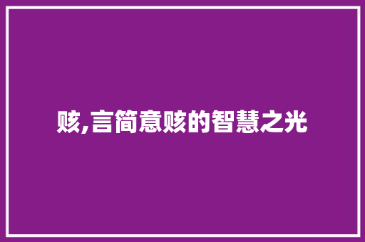 赅,言简意赅的智慧之光