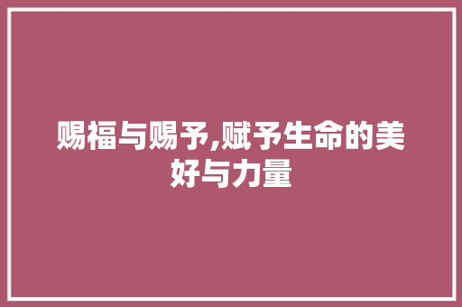 赐福与赐予,赋予生命的美好与力量 报告写作