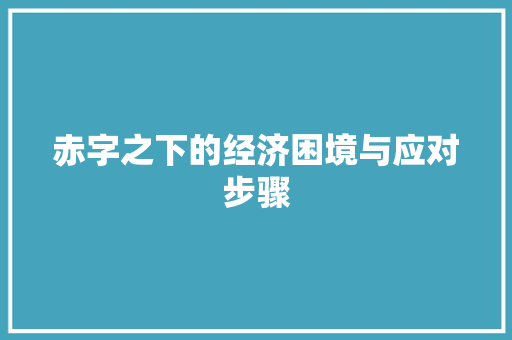 赤字之下的经济困境与应对步骤 商业文案