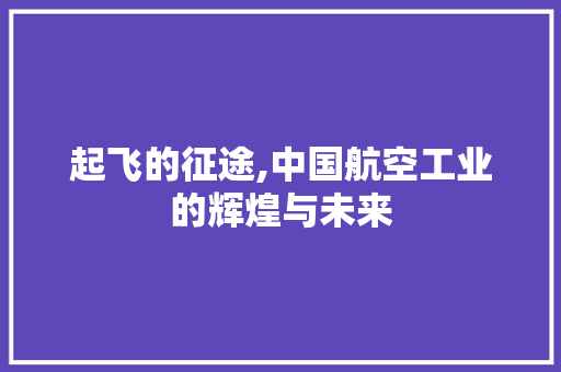 起飞的征途,中国航空工业的辉煌与未来